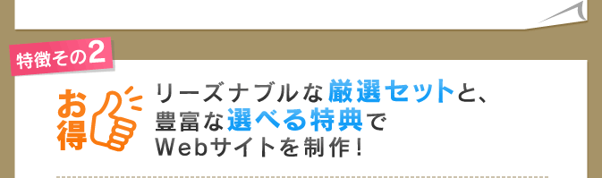 特徴その2：リーズナブルな厳選セットと、豊富な選べる特典でWebサイトを制作！